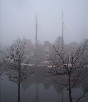Pegasus in Haarlem, Mist op 4 november (foto: Willemien Spook)
